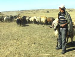 Koç Katım Şenlikleri ilgi gördü